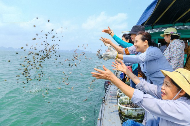 5 cách chuyên gia gợi ý để phóng sinh đem lại hiệu quả nhất - Ảnh 2.