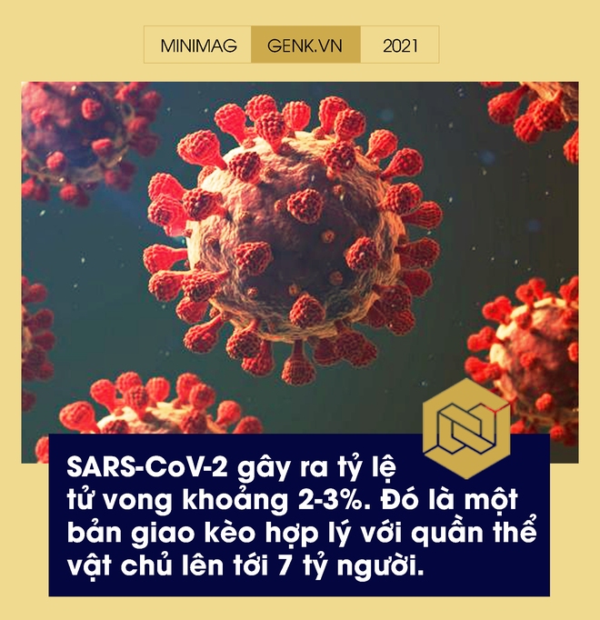 Một biên niên sử về virus: Từ những thiên thần của tiến hóa tới cơn ác mộng COVID-19 - Ảnh 19.