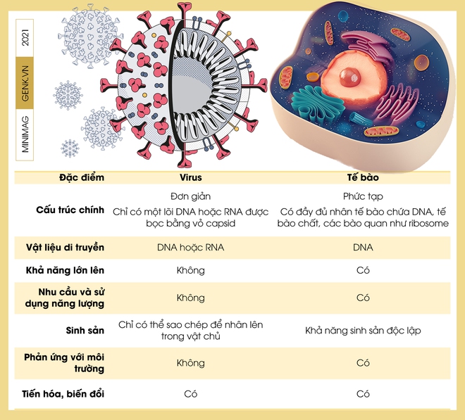 Một biên niên sử về virus: Từ những thiên thần của tiến hóa tới cơn ác mộng COVID-19 - Ảnh 3.