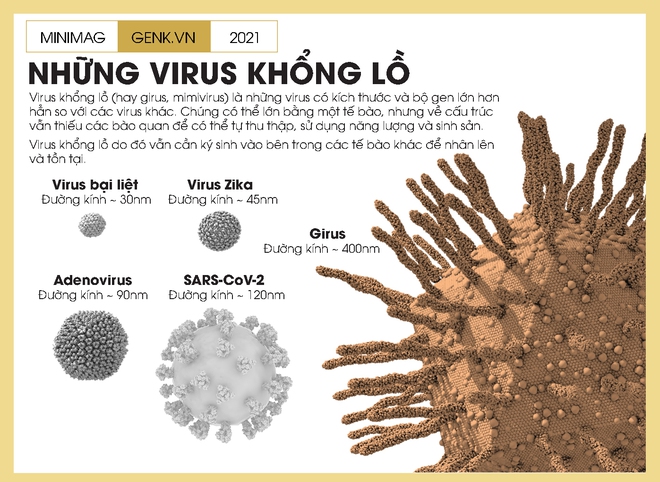 Một biên niên sử về virus: Từ những thiên thần của tiến hóa tới cơn ác mộng COVID-19 - Ảnh 8.