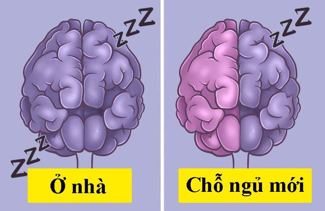 Khoa học giải thích vì sao chúng ta thường trằn trọc, khó ngủ trong đêm đầu tiên đến chỗ mới - Ảnh 5.