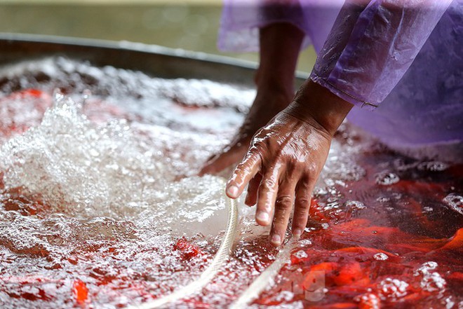 Tấp nập chợ cá lớn nhất Hà Nội trước ngày ông Công ông Táo - Ảnh 9.