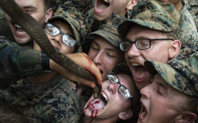 Lính Thủy quân Lục chiến Mỹ tranh nhau uống máu rắn trong cuộc tập trận "Hổ mang Vàng" tháng 3/2020. Ảnh: Thủy quân Lục chiến Mỹ
