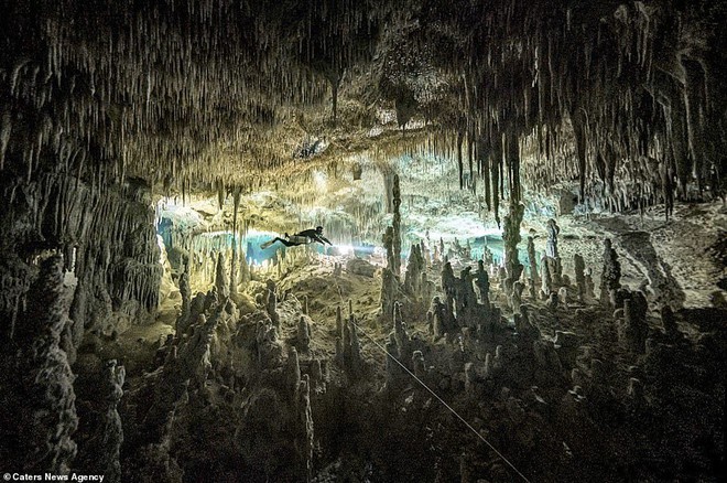 Hình ảnh ngoạn mục về hang động ma thuật dưới nước sâu trong rừng Mexico - Ảnh 3.