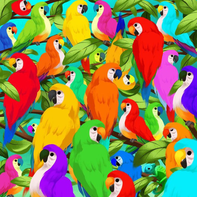 Thách thức thị giác 3 giây: Đố bạn tìm ra con tắc kè hoa trong đàn vẹt nhiều màu sắc - Ảnh 1.