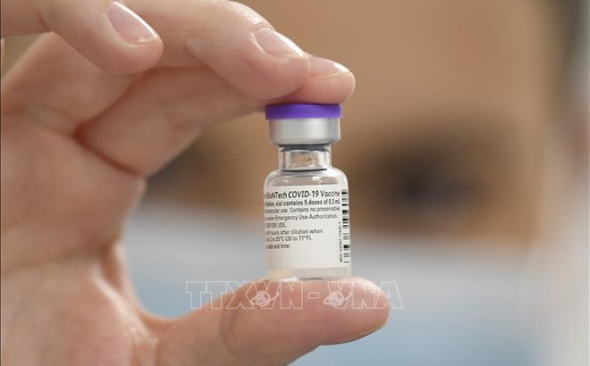 Vaccine phòng COVID-19 của Pfizer/BioNTech. Ảnh: AFP/TTXVN