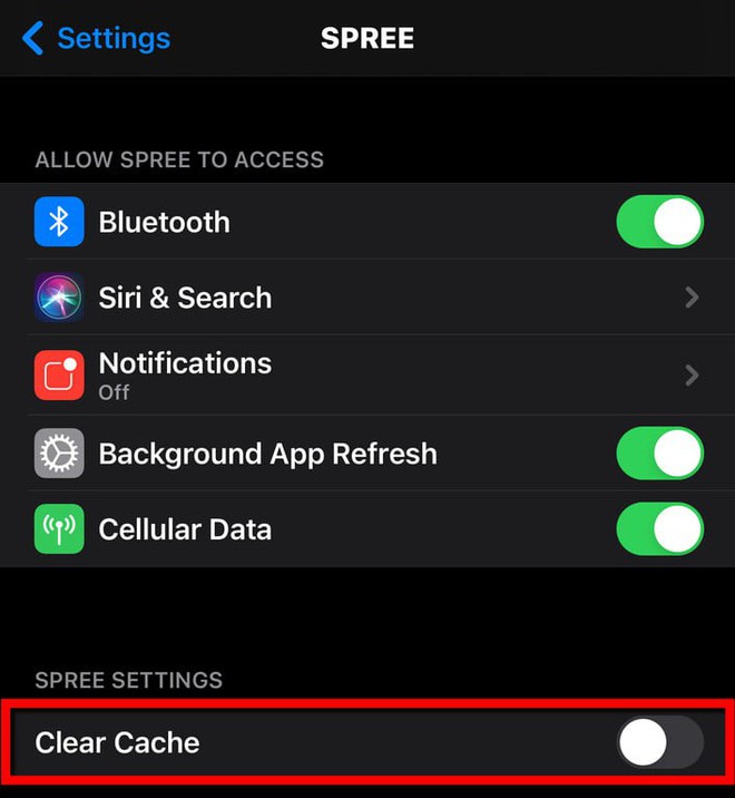Cách xóa bộ nhớ cache trên iPhone - Ảnh 4.