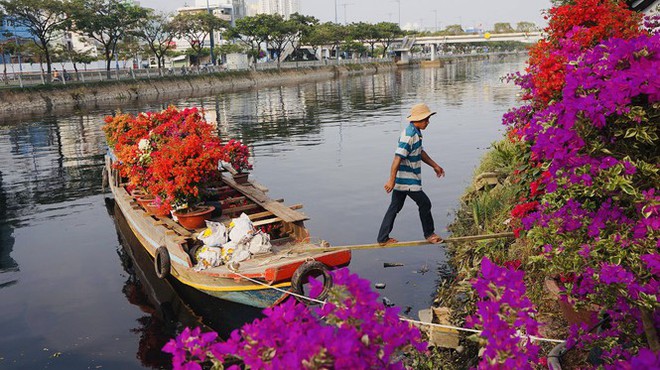 Sôi động cảnh hoa Tết miền Tây theo ghe lên thành phố - Ảnh 2.