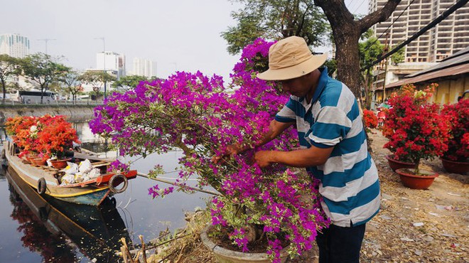 Sôi động cảnh hoa Tết miền Tây theo ghe lên thành phố - Ảnh 6.