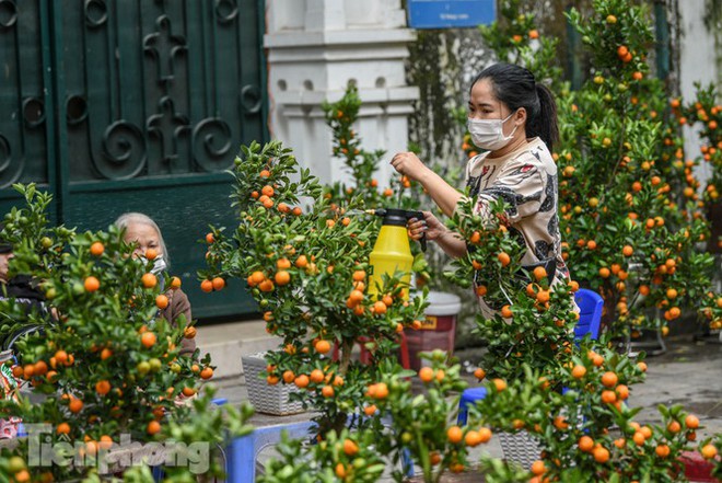 Ghé thăm chợ hoa cổ nhất Hà Nội giữa mùa dịch COVID-19 - Ảnh 6.