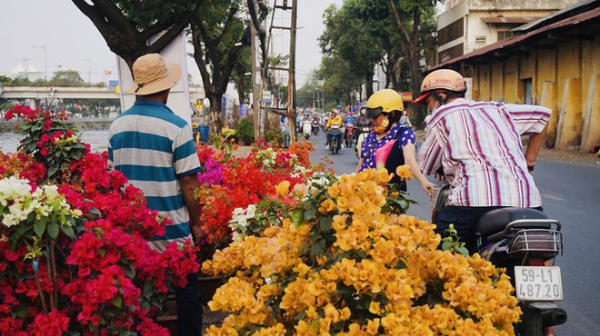 Sôi động cảnh hoa Tết miền Tây theo ghe lên thành phố - Ảnh 8.