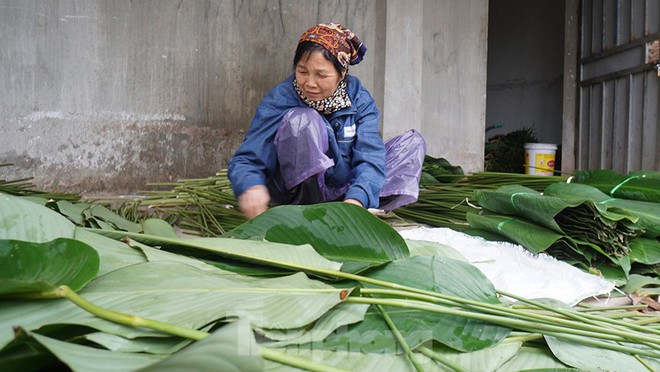 Những ngày bận rộn nhất trong năm của làng lá dong Tràng Cát - Ảnh 11.