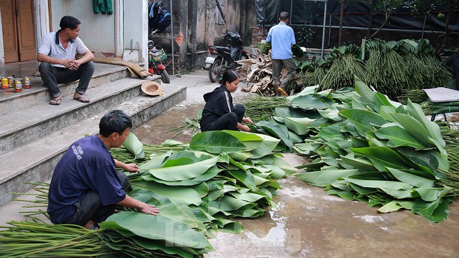 Những ngày bận rộn nhất trong năm của làng lá dong Tràng Cát - Ảnh 9.