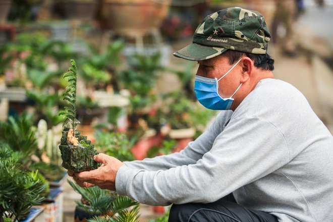  CLIP: Vạn tuế Bonsai hàng chục triệu đồng hút khách mua  - Ảnh 4.