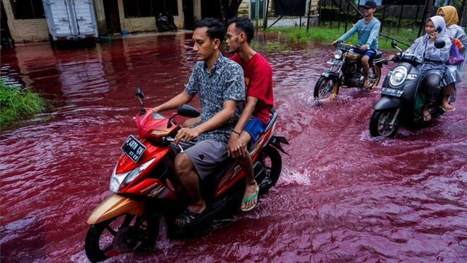 Indonesia: Dòng lũ máu nhấn chìm một ngôi làng - Ảnh 1.