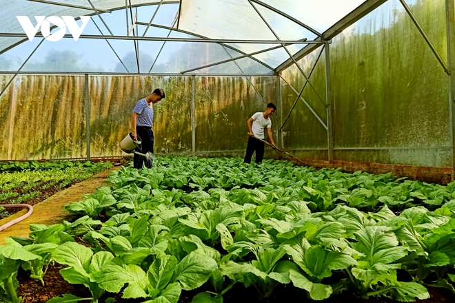 Lính đảo Tây Nam: 27 năm chỉ đón Tết một lần duy nhất với gia đình - Ảnh 4.