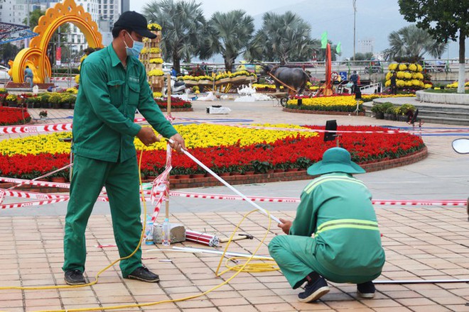 Trâu kéo cày, trâu kim tiền vào đường hoa Tết 10 tỷ đồng ở Đà Nẵng - Ảnh 5.