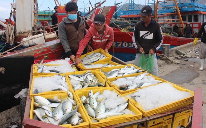 Niềm vui đón "lộc biển" ngày cuối năm.