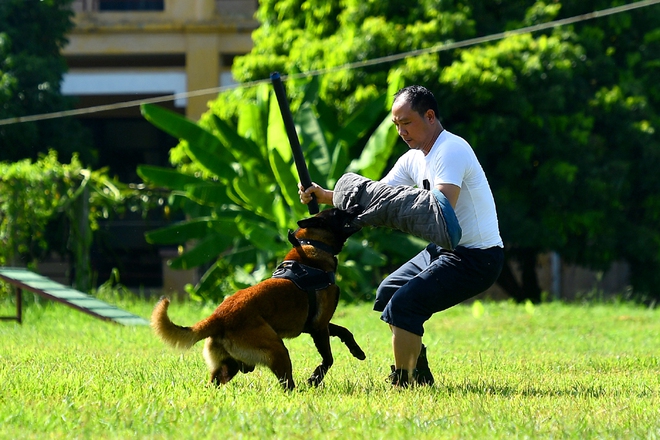 Chùm ảnh: Huấn luyện trợ thủ chiến đấu của lực lượng quân hàm xanh - Ảnh 5.