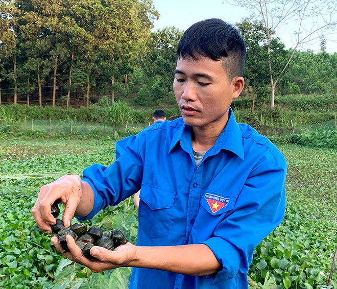 Bắt con biết bò loanh quanh, ăn với đẻ, xong lăn ra ngủ, mỗi năm đút túi hàng trăm triệu - Ảnh 3.