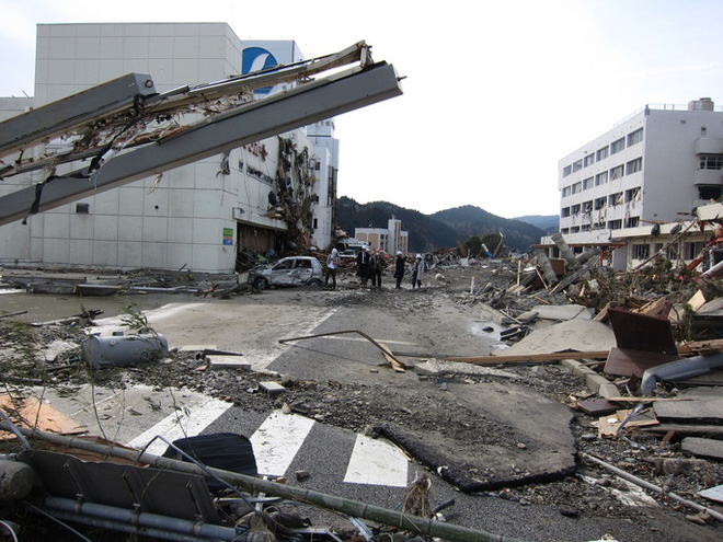 Thảm hoạ Nhật Bản: Cây thông thần kỳ 10 năm trước bây giờ ra sao? - Ảnh 1.