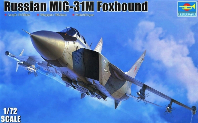 Tiêm kích đánh chặn MiG-31M: Số phận dang dở nhưng không “vô bổ” - Ảnh 3.
