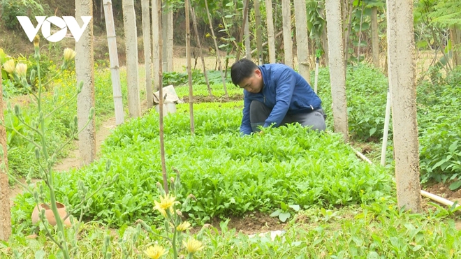  Thanh niên Bắc Kạn trồng rau, trồng nấm...thu hàng trăm triệu đồng mỗi năm  - Ảnh 1.