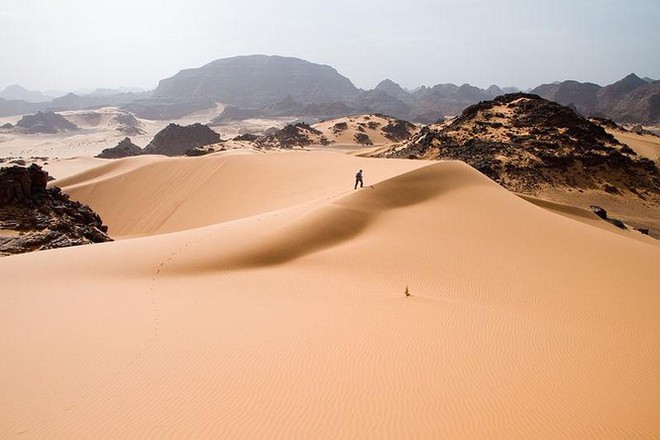 Bạn có biết sa mạc Sahara từng có cây cối xanh rờn với hươu cao cổ và cá sấu? - Ảnh 1.