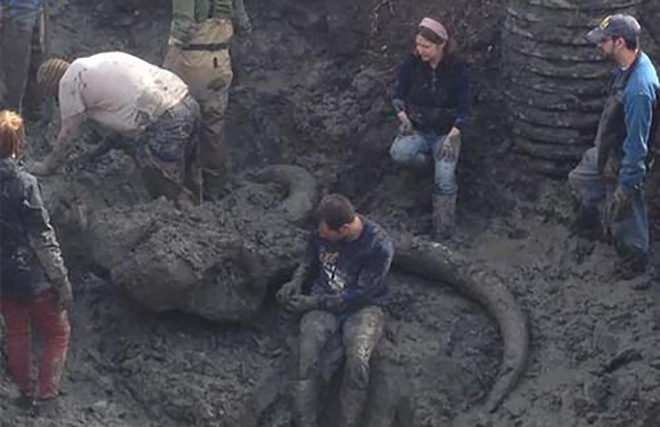 Đào đất để đặt đường ống dẫn khí, lão nông tìm thấy khúc xương kì lạ, càng đào lại càng bất ngờ - Ảnh 5.
