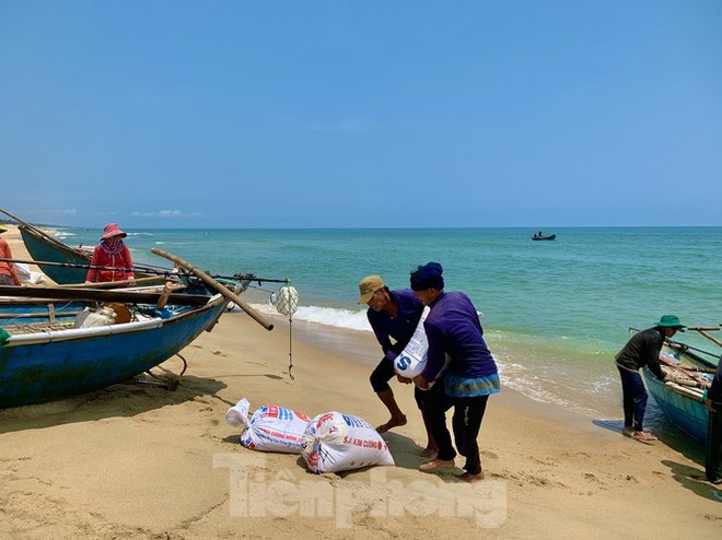 Ngư dân bỏ túi tiền triệu mỗi ngày nhờ cào ‘lộc biển’ - Ảnh 3.