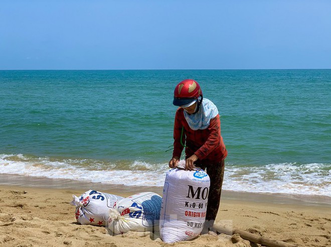 Ngư dân bỏ túi tiền triệu mỗi ngày nhờ cào ‘lộc biển’ - Ảnh 4.