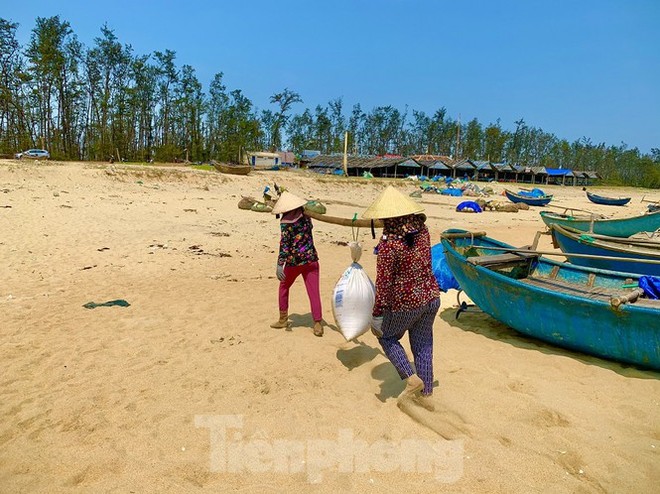 Ngư dân bỏ túi tiền triệu mỗi ngày nhờ cào ‘lộc biển’ - Ảnh 7.