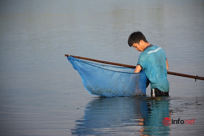 Mỗi ngày 2 giờ lội nước rũ lá cây, chàng trai kiếm nửa triệu - Ảnh 1.