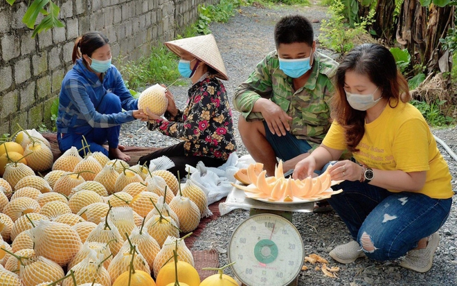 Từ chàng cửu vạn trở thành ông chủ kiếm tiền tỷ nhờ trồng dưa lưới - Ảnh 2.