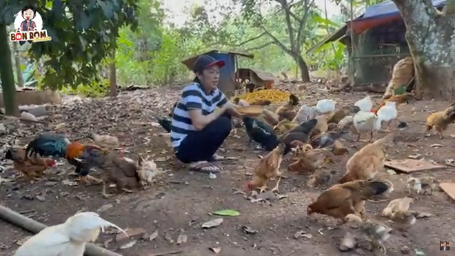 Hình ảnh