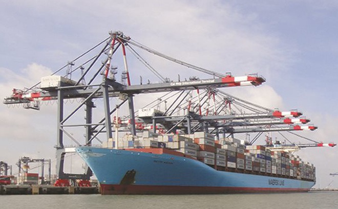 Cái Mép - Thị Vải trở thành cảng trung chuyển quốc tế với lượng hàng trung chuyển ở mức trên 25% là mục tiêu khả thi. Ảnh: LÊ ANH