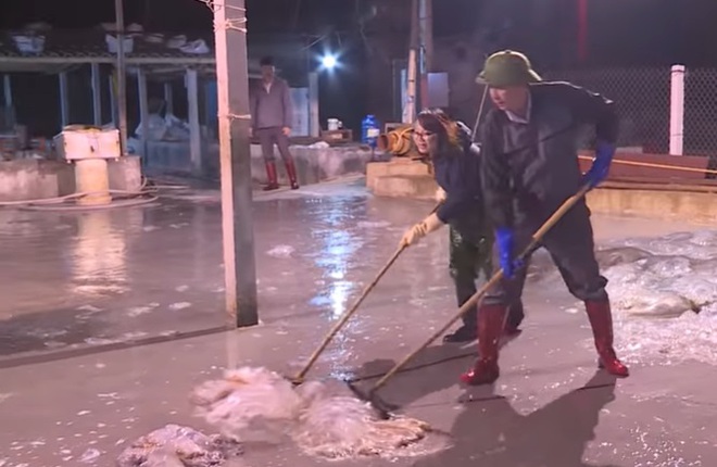 Săn vàng trắng, lộc của biển, thu tiền triệu mỗi ngày - Ảnh 1.