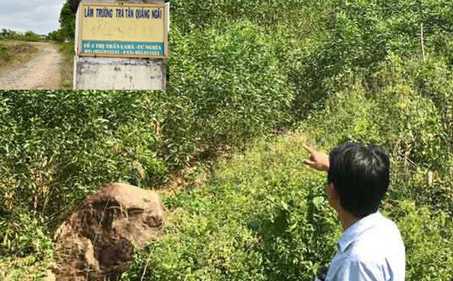 Một khu vực đất rừng tại Vũng Trục , huyện Trà Bồng, từng do Công ty Lâm nghiệp Trà Tân quản lý bị lấn chiếm trái phép.