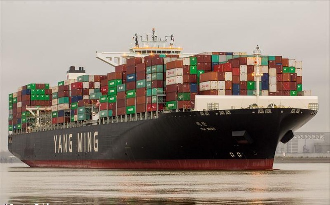 Tàu YM Wish dài 368 m, rộng 51 m có khả năng chở được gần 14.000 container. Ảnh: MarineTraffic.com