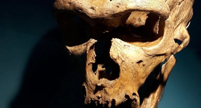 Một lo&agrave;i tuyệt chủng từng biết nghe v&agrave; n&oacute;i như người hiện đại - Ảnh 1.