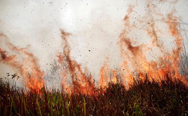 Ảnh minh họa: Reuters