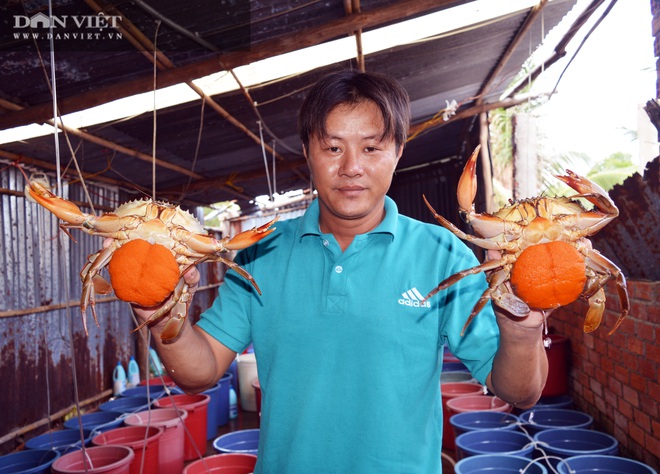 Tỉnh Cà Mau sẽ quảng bá đặc sản “đỉnh của chóp”, 2 trong số đặc sản đó chưa nói nhiều người đã biết - Ảnh 3.