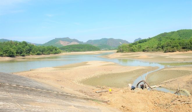 Sau phát ngôn sốc của Chi cục trưởng, Giám đốc Sở NN-PTNT ra văn bản chấn chỉnh - Ảnh 4.