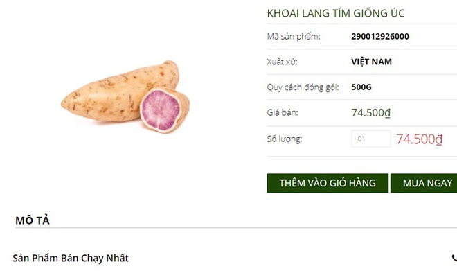 Khuyến mãi sâu, khoai lang tím Úc vẫn có giá 100.000 đồng/kg - Ảnh 2.