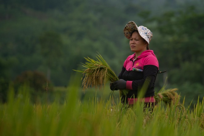 4 năm bên nhau, người đàn ông liên tục đuổi vợ đi lấy chồng mới: Em đã khổ lắm rồi - Ảnh 5.