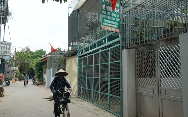 Chủ vườn lan đột biến bị tố 