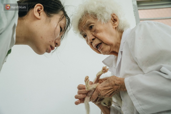 Bên trong phòng khám chữa bệnh, châm cứu miễn phí cho chó mèo ở Hà Nội: Ngoan, bà thương... - Ảnh 26.