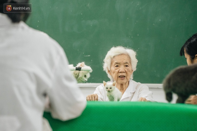 Bên trong phòng khám chữa bệnh, châm cứu miễn phí cho chó mèo ở Hà Nội: Ngoan, bà thương... - Ảnh 5.