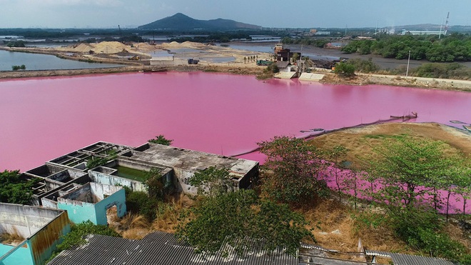 Vụ đầm nước chuyển màu hồng tím ở Bà Rịa - Vũng Tàu: Đề xuất nghiên cứu sâu để khai thác du lịch - Ảnh 2.