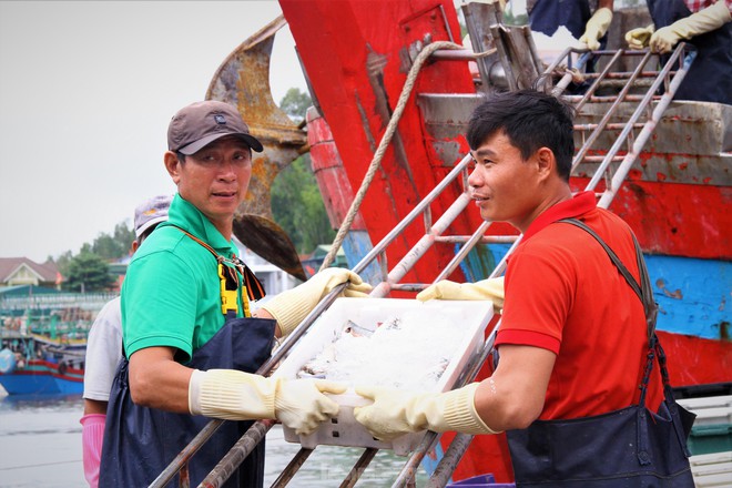 Ngư dân Nghệ An thu hàng trăm triệu mỗi chuyến từ mực luộc tươi trên tàu - Ảnh 15.